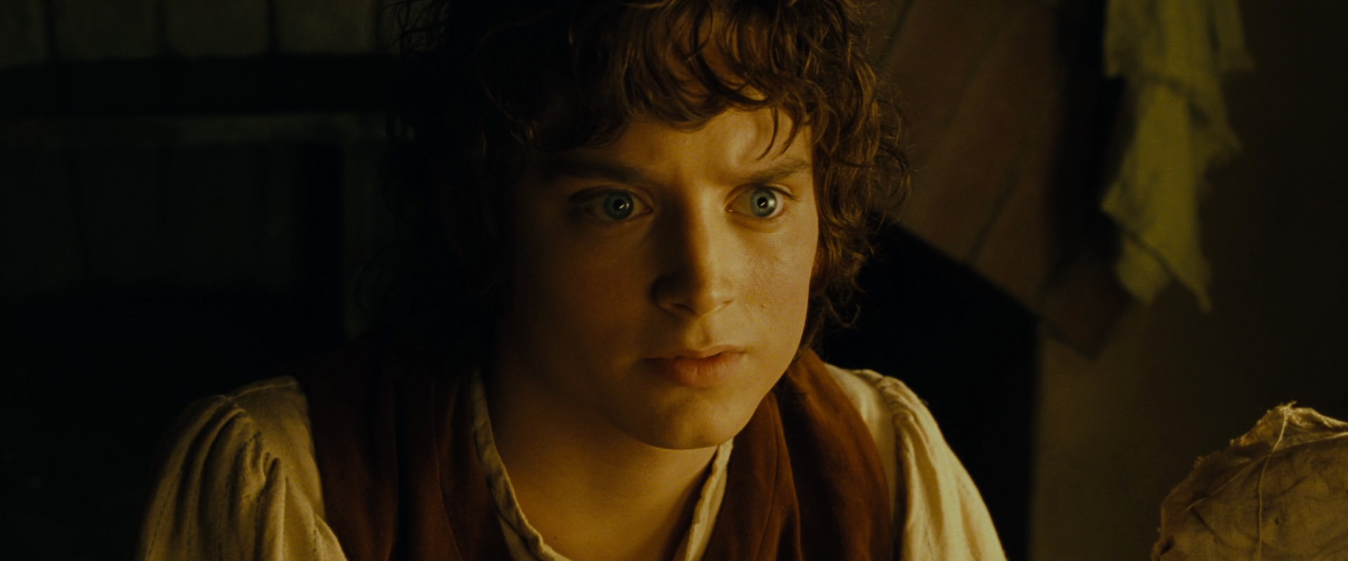 The Lord of the Rings: The Fellowship of the Ring (2001) screencap 4392