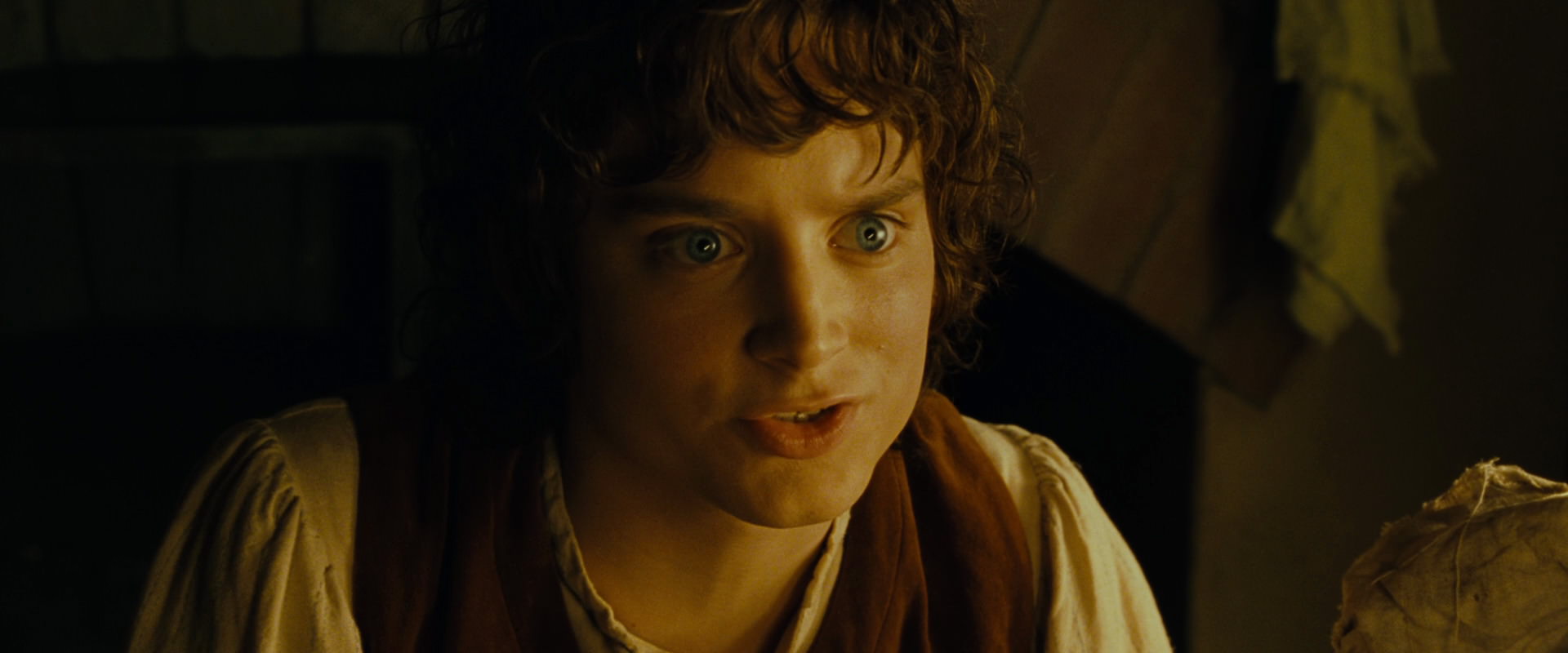 The Lord of the Rings: The Fellowship of the Ring (2001) HD screenshot 4394