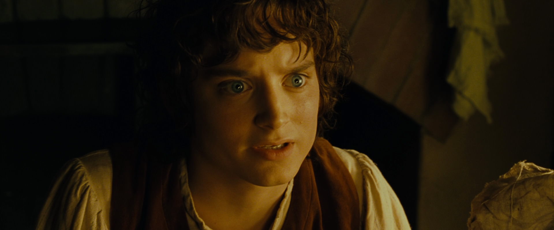 The Lord of the Rings: The Fellowship of the Ring (2001) screencap 4395