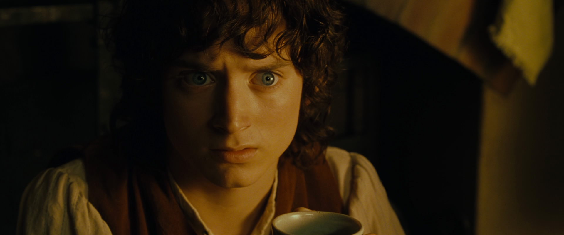 The Lord of the Rings: The Fellowship of the Ring (2001) screencap 4410