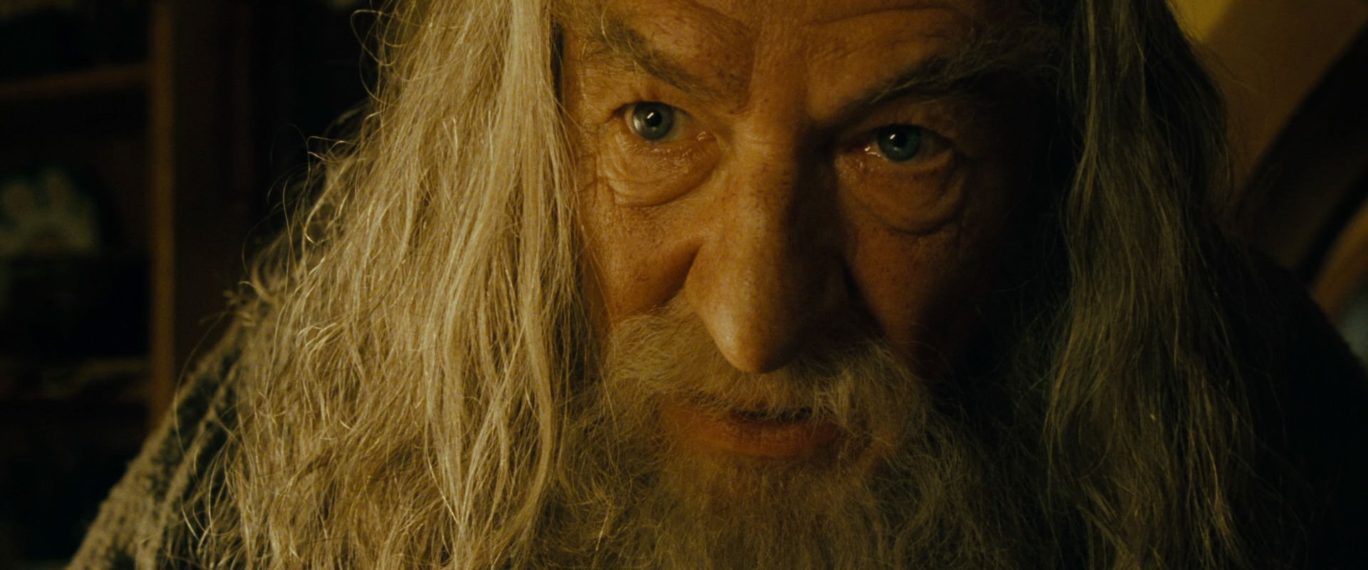 The Lord of the Rings: The Fellowship of the Ring (2001) screencap 4431