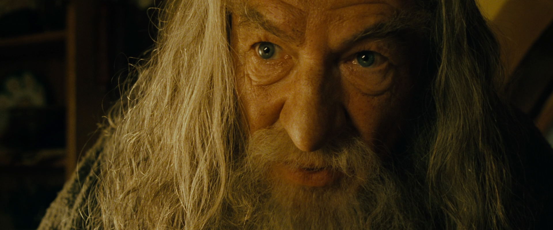 The Lord of the Rings: The Fellowship of the Ring (2001) screencap 4434