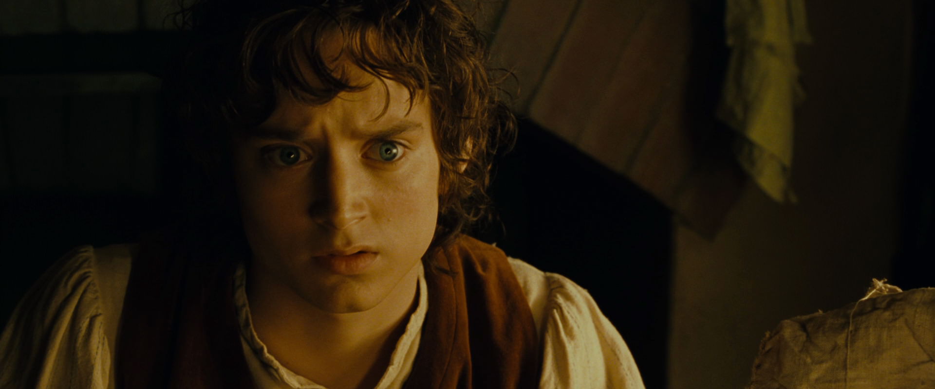 The Lord of the Rings: The Fellowship of the Ring (2001) screencap 4437