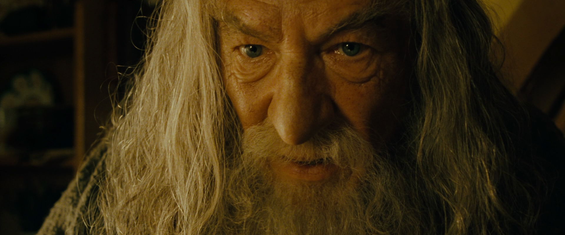 The Lord of the Rings: The Fellowship of the Ring (2001) screencap 4446