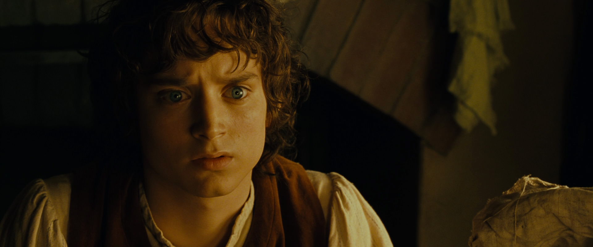 The Lord of the Rings: The Fellowship of the Ring (2001) screencap 4455