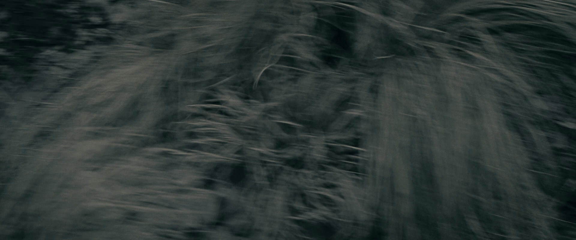 The Lord of the Rings: The Fellowship of the Ring (2001) HD screenshot 446