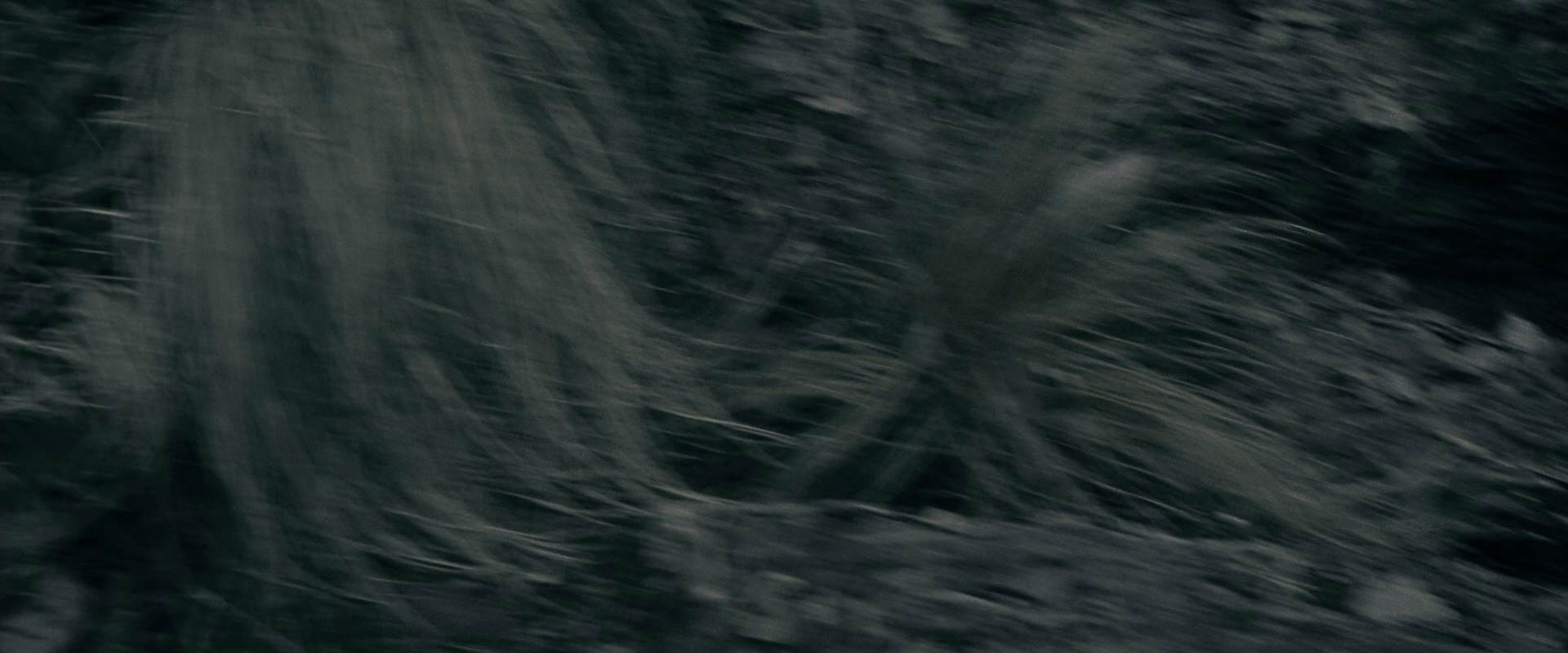 The Lord of the Rings: The Fellowship of the Ring (2001) screencap 447