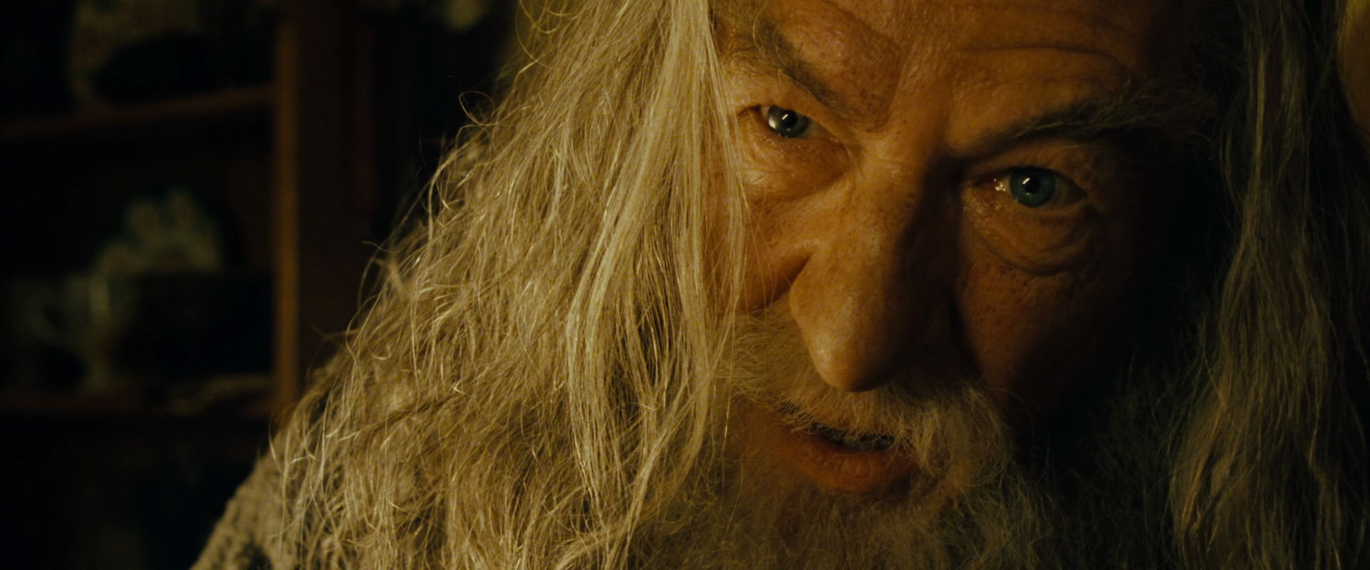 The Lord of the Rings: The Fellowship of the Ring (2001) screencap 4491