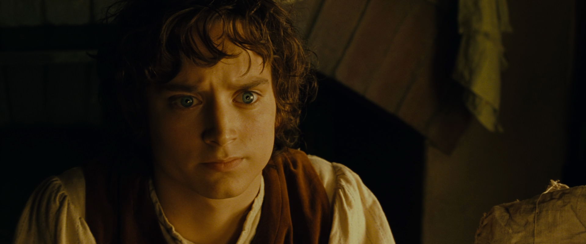 The Lord of the Rings: The Fellowship of the Ring (2001) screencap 4494