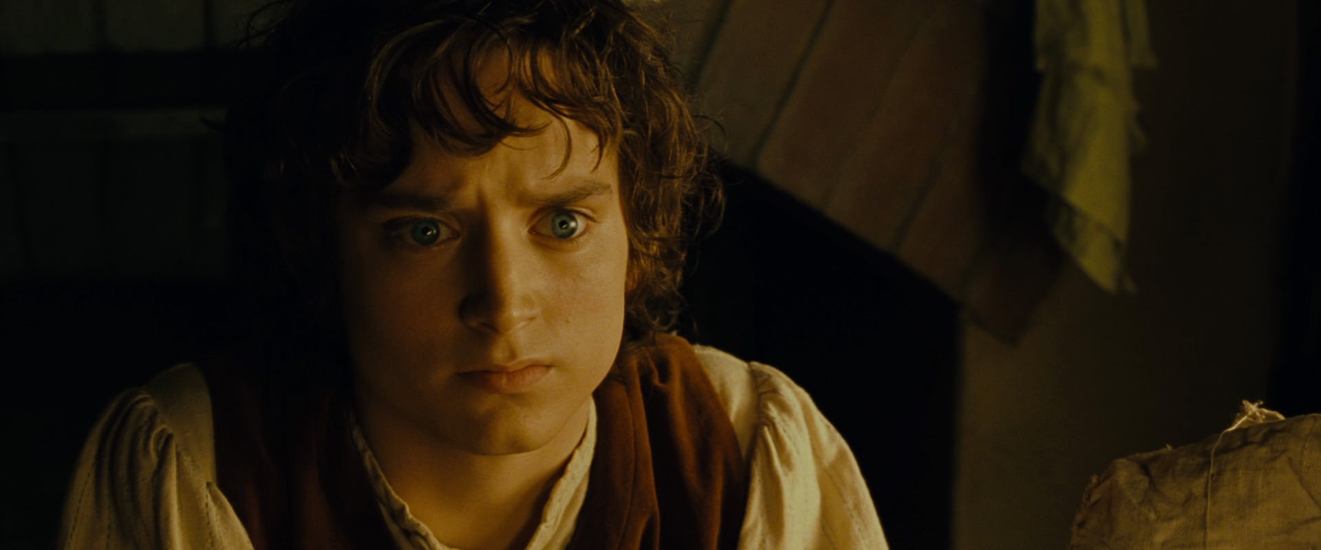 The Lord of the Rings: The Fellowship of the Ring (2001) movie still 4495