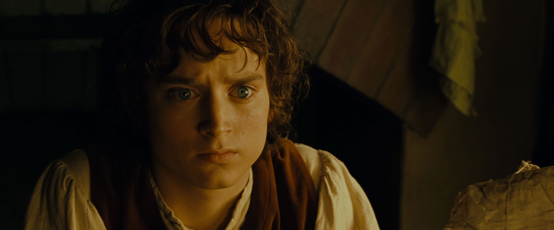 The Lord of the Rings: The Fellowship of the Ring (2001) screencap 4497