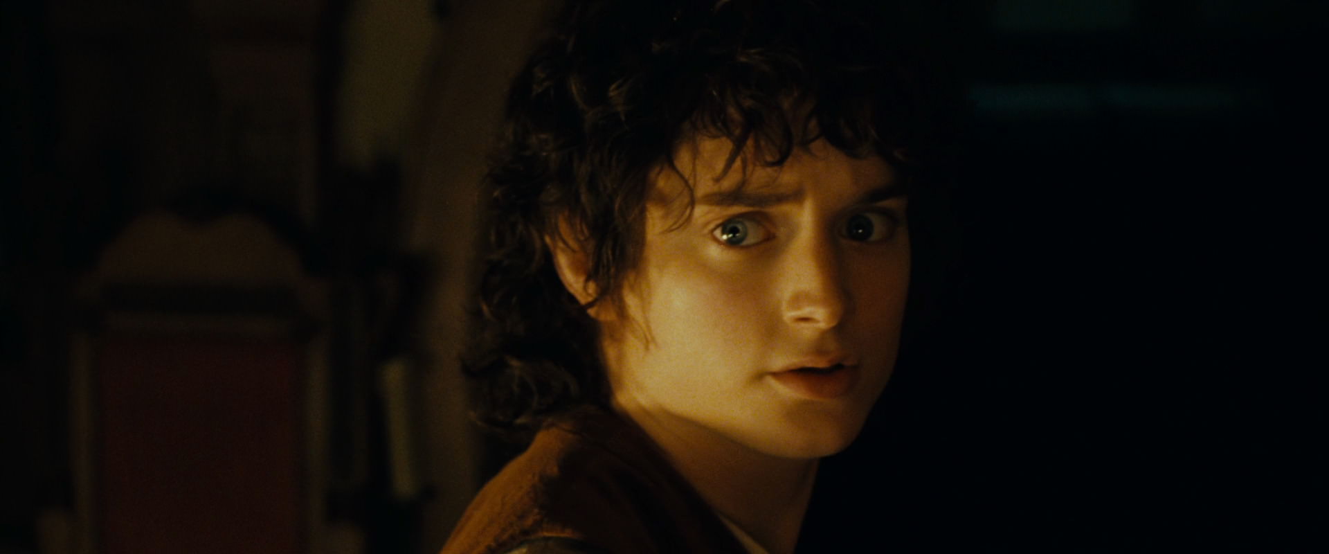 The Lord of the Rings: The Fellowship of the Ring (2001) screencap 4533
