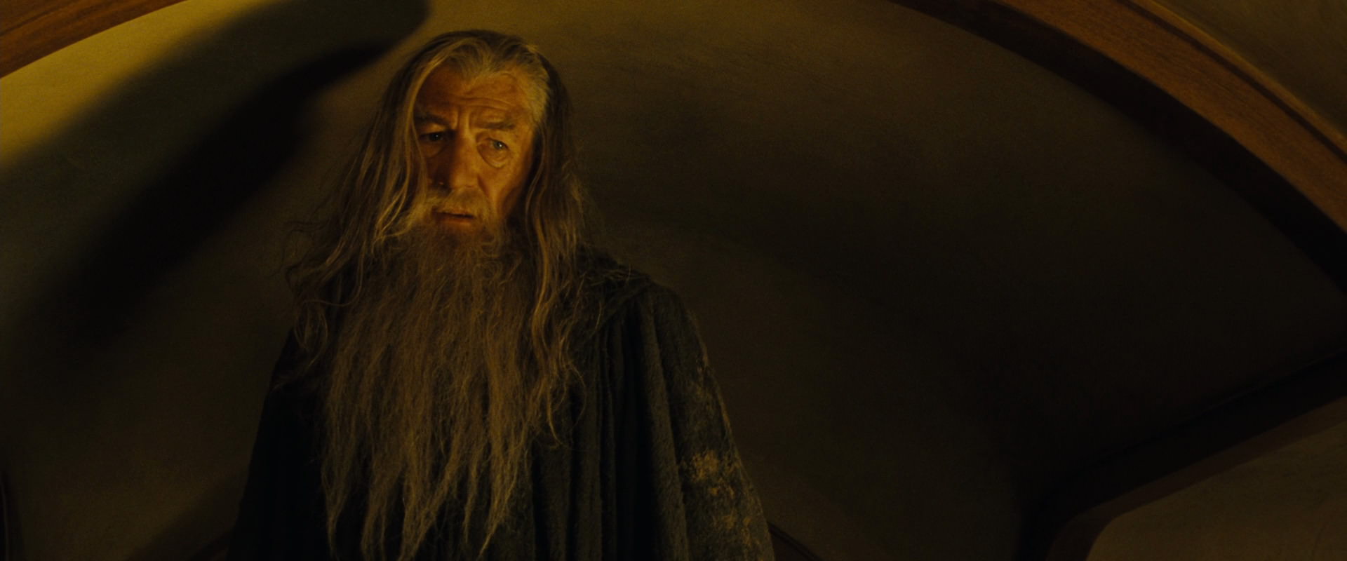 The Lord of the Rings: The Fellowship of the Ring (2001) screencap 4536