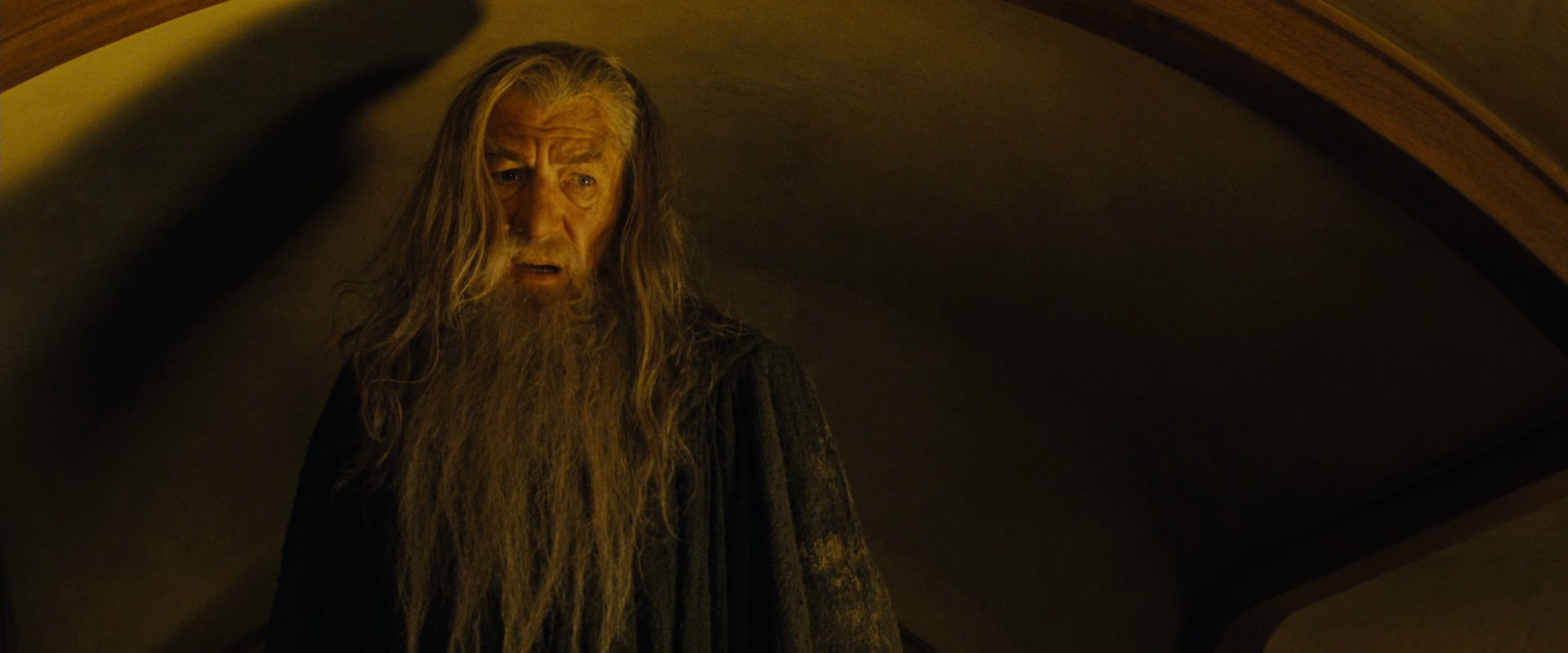 The Lord of the Rings: The Fellowship of the Ring (2001) screencap 4539