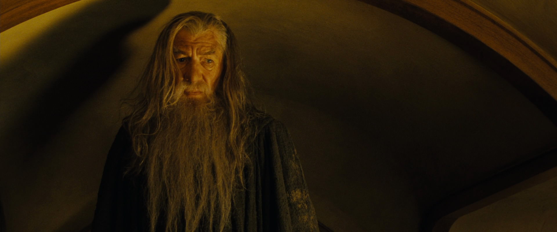 The Lord of the Rings: The Fellowship of the Ring (2001) screencap 4542