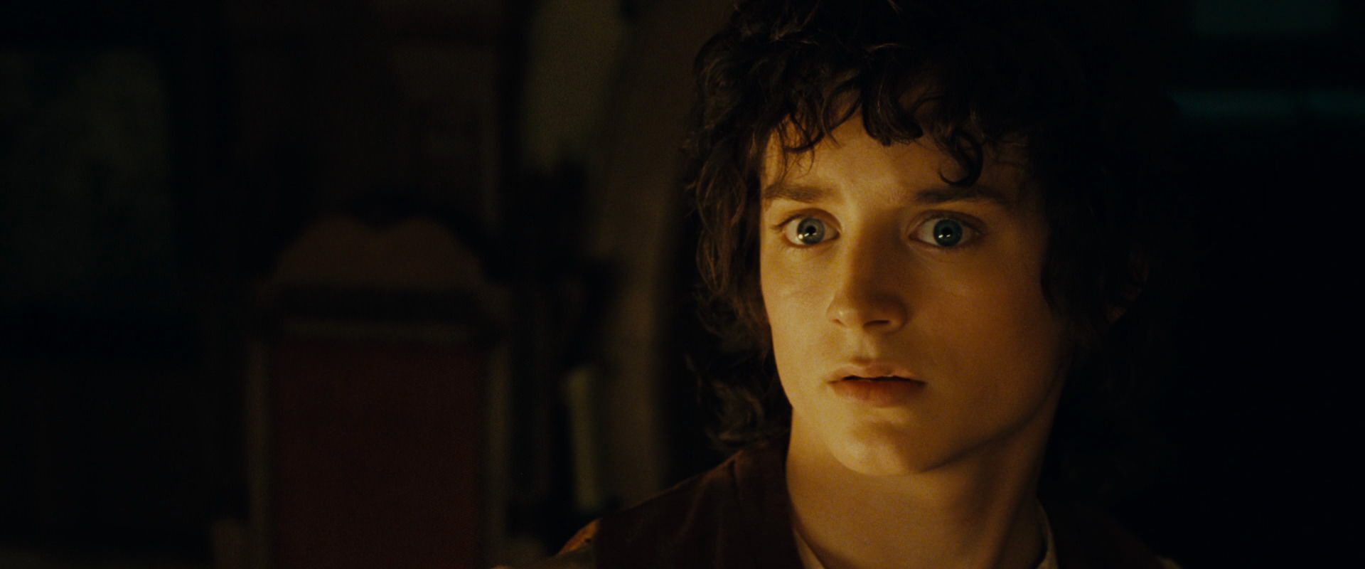 The Lord of the Rings: The Fellowship of the Ring (2001) screencap 4548