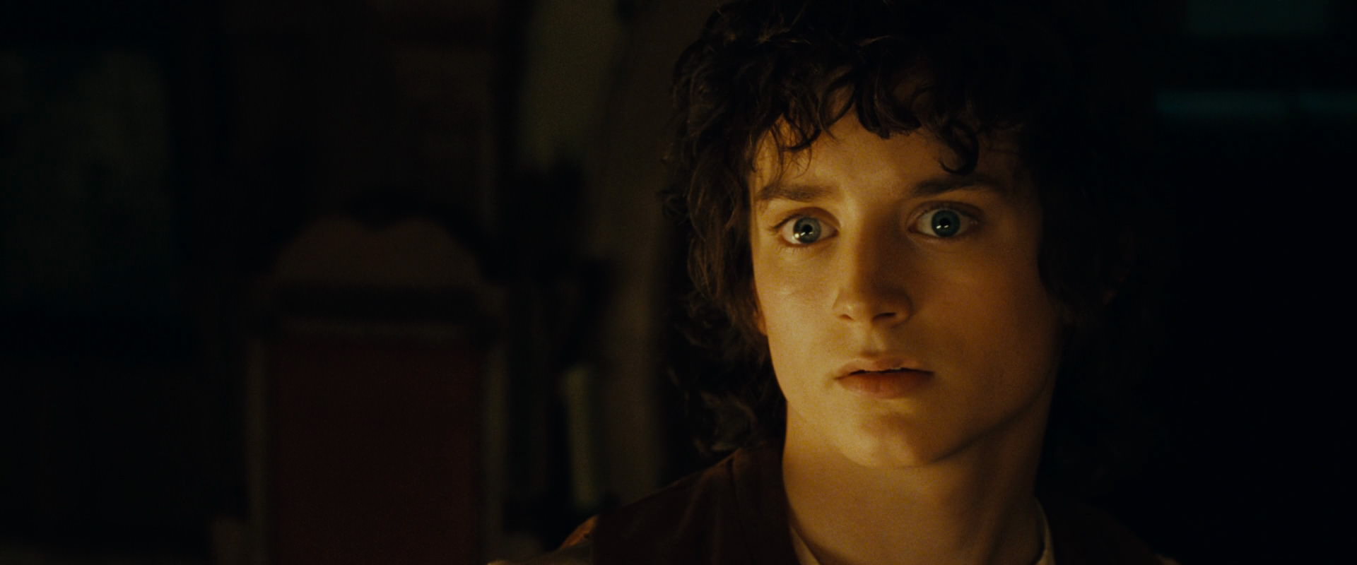 The Lord of the Rings: The Fellowship of the Ring (2001) screencap 4551
