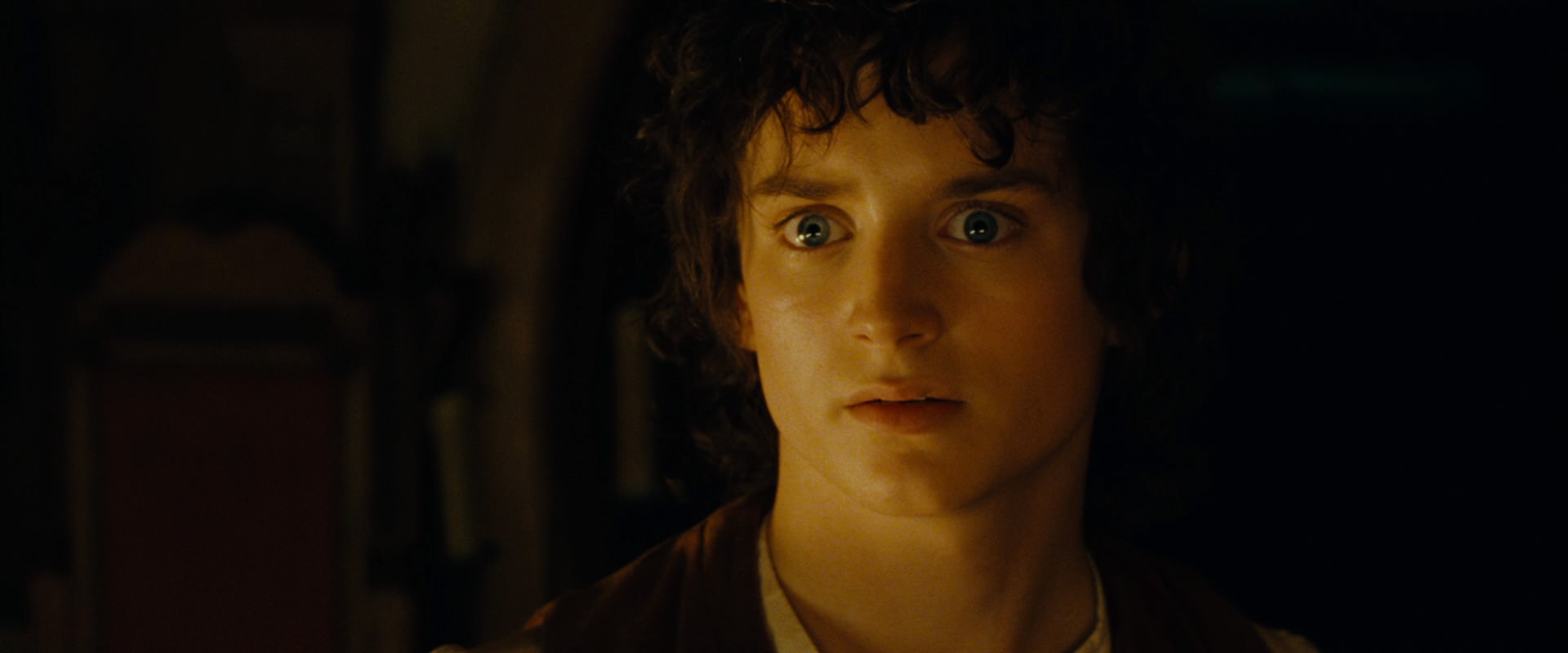 The Lord of the Rings: The Fellowship of the Ring (2001) screencap 4587