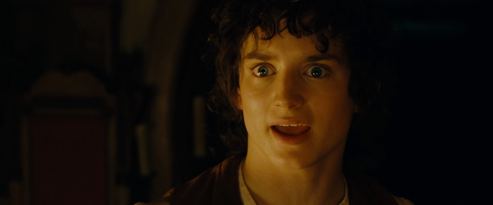 The Lord of the Rings: The Fellowship of the Ring (2001) screencap 4593