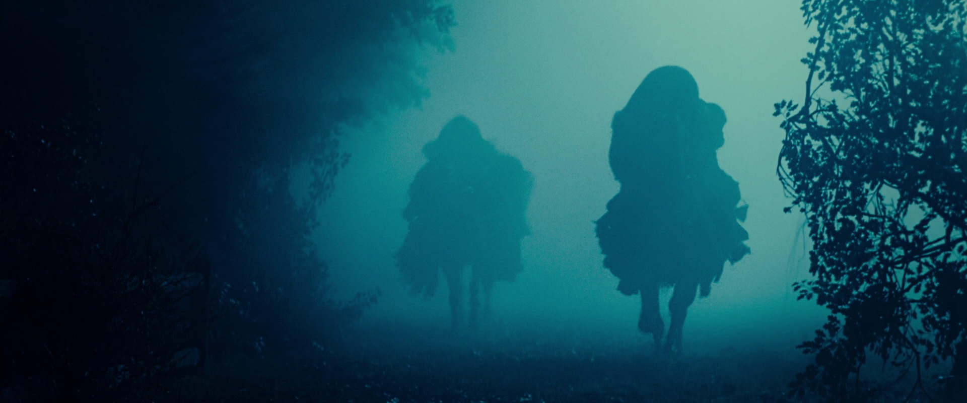 The Lord of the Rings: The Fellowship of the Ring (2001) screencap 4596