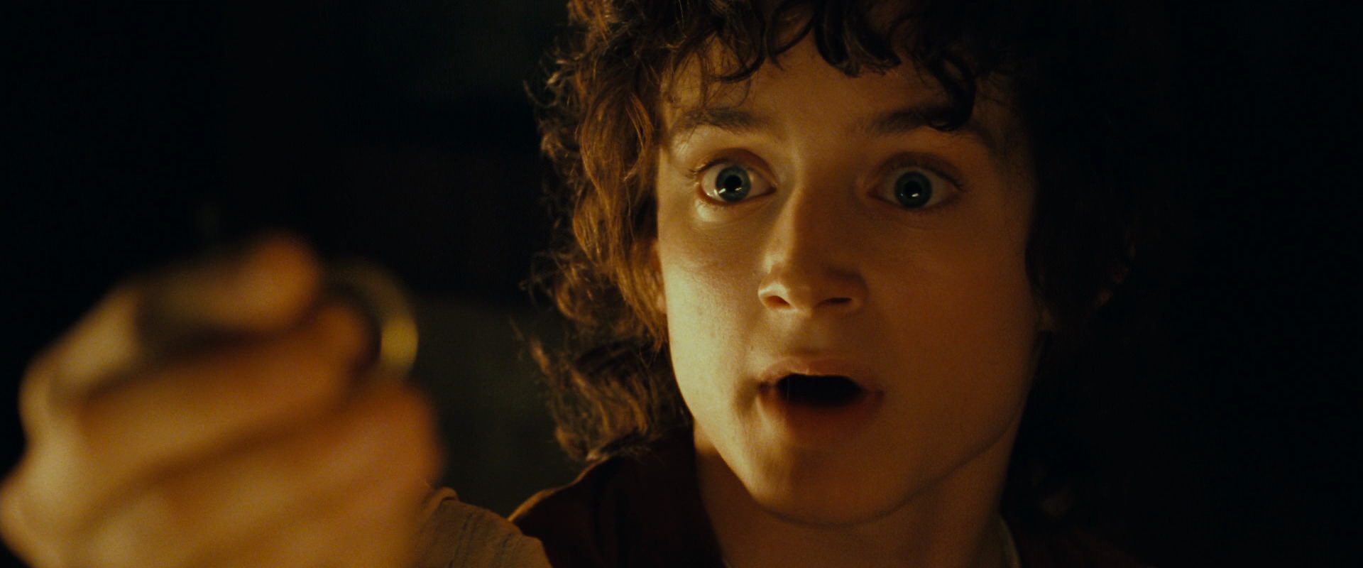 The Lord of the Rings: The Fellowship of the Ring (2001) screencap 4611