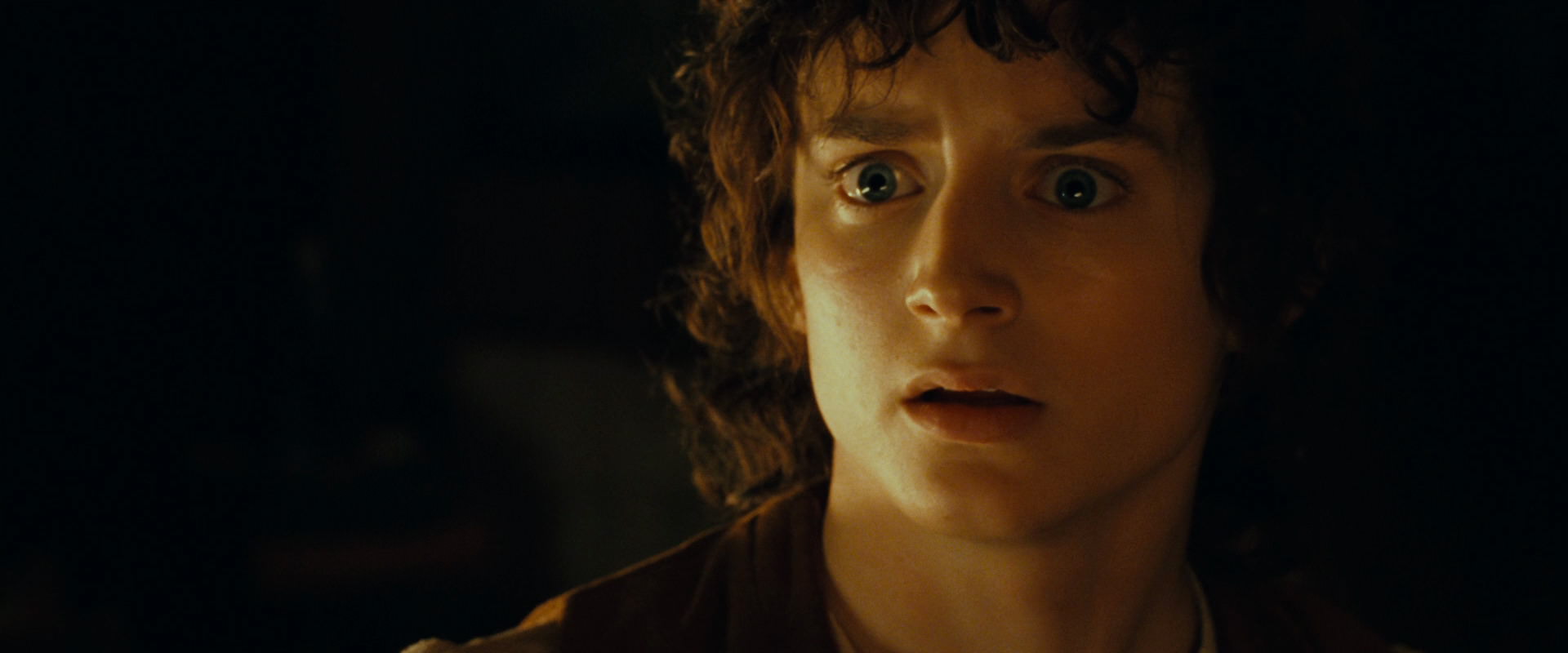 The Lord of the Rings: The Fellowship of the Ring (2001) screencap 4656