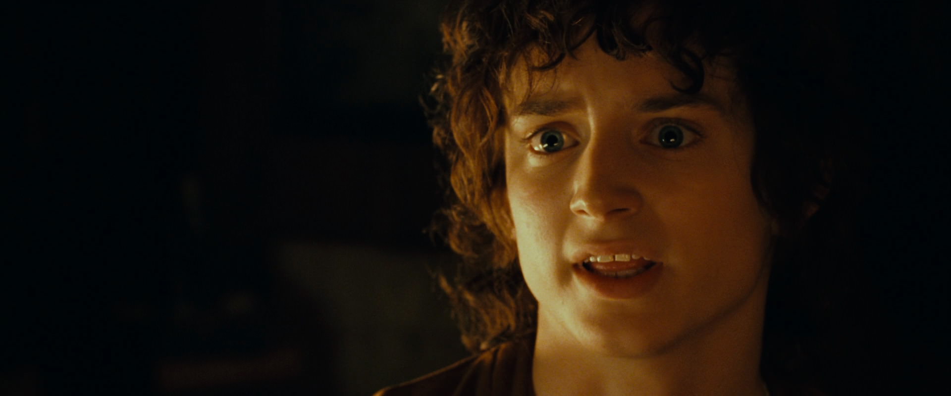 The Lord of the Rings: The Fellowship of the Ring (2001) screencap 4674