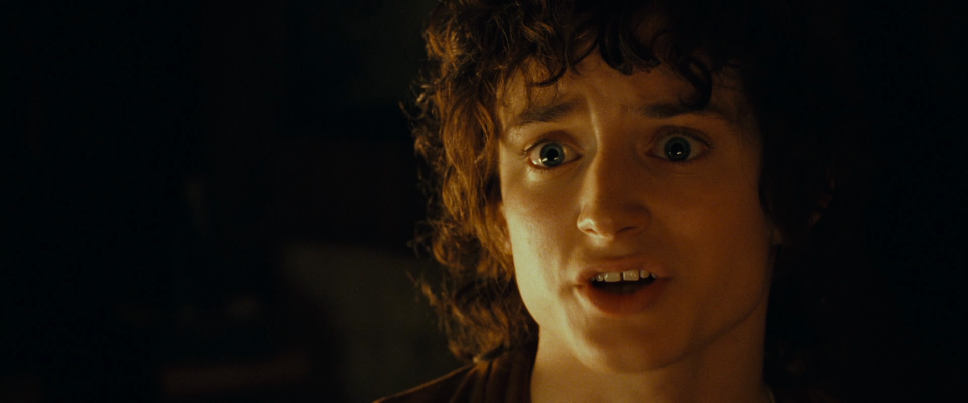The Lord of the Rings: The Fellowship of the Ring (2001) HD screenshot 4676