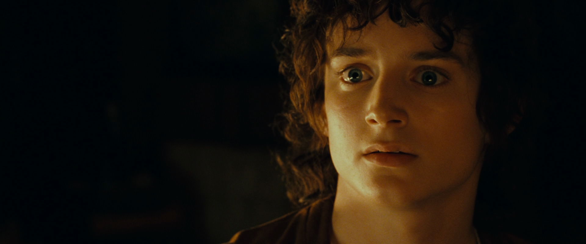 The Lord of the Rings: The Fellowship of the Ring (2001) HD screenshot 4688