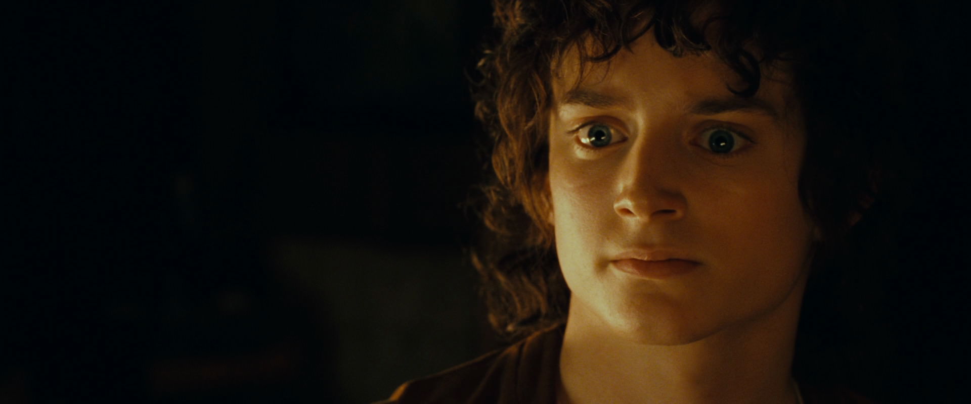 The Lord of the Rings: The Fellowship of the Ring (2001) screencap 4692