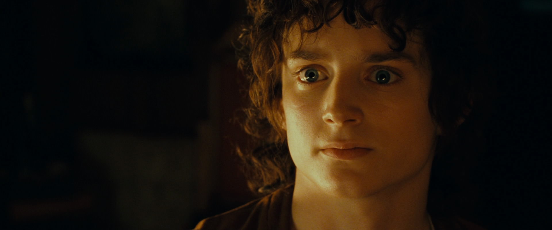 The Lord of the Rings: The Fellowship of the Ring (2001) HD screenshot 4697