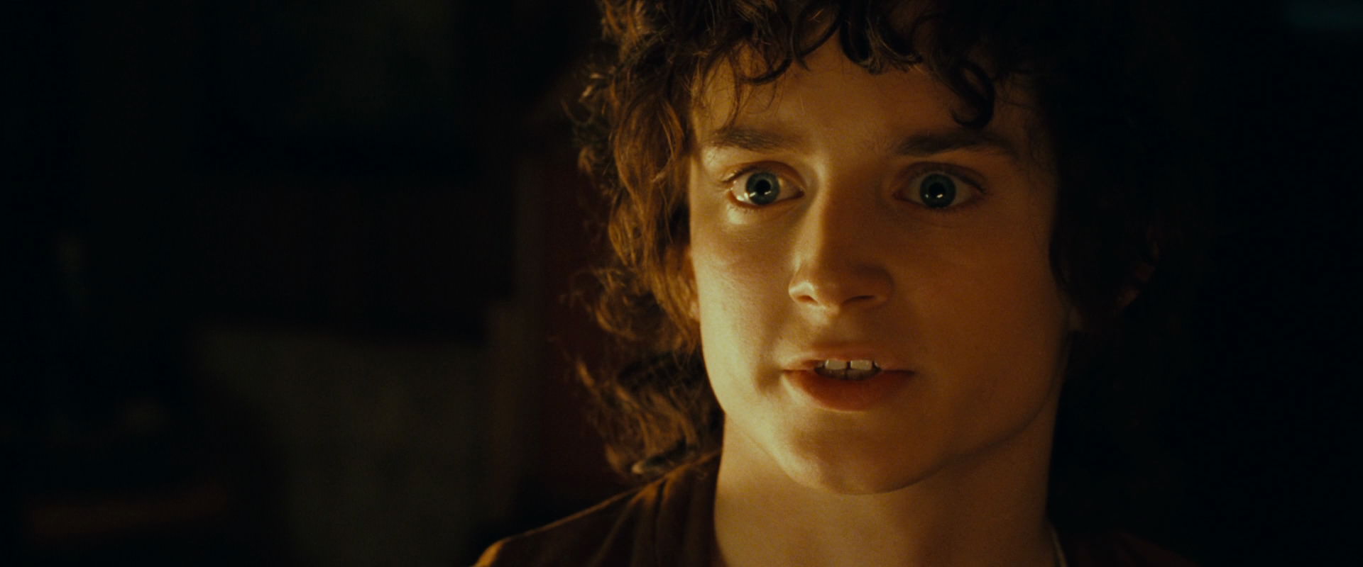 The Lord of the Rings: The Fellowship of the Ring (2001) screencap 4698