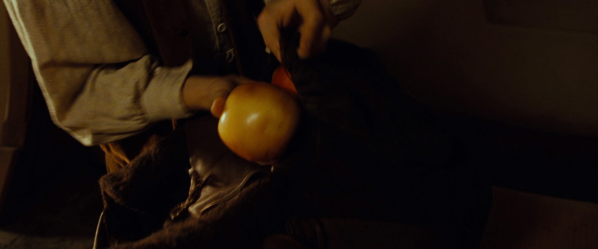 The Lord of the Rings: The Fellowship of the Ring (2001) screencap 4731