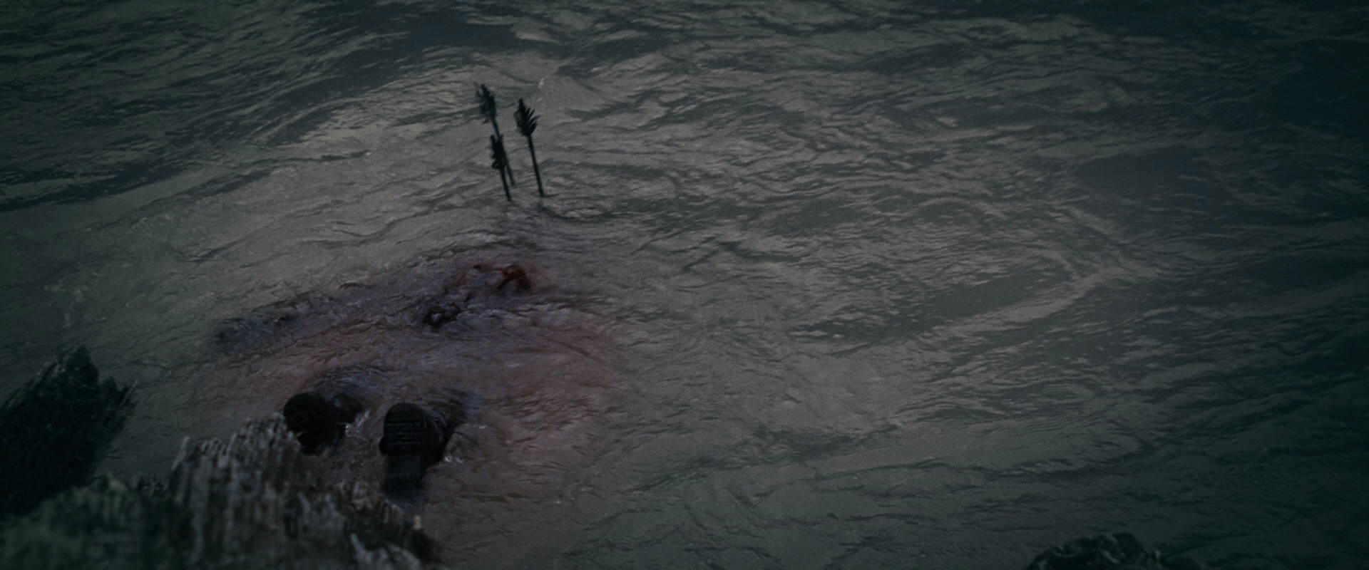 The Lord of the Rings: The Fellowship of the Ring (2001) screencap 474