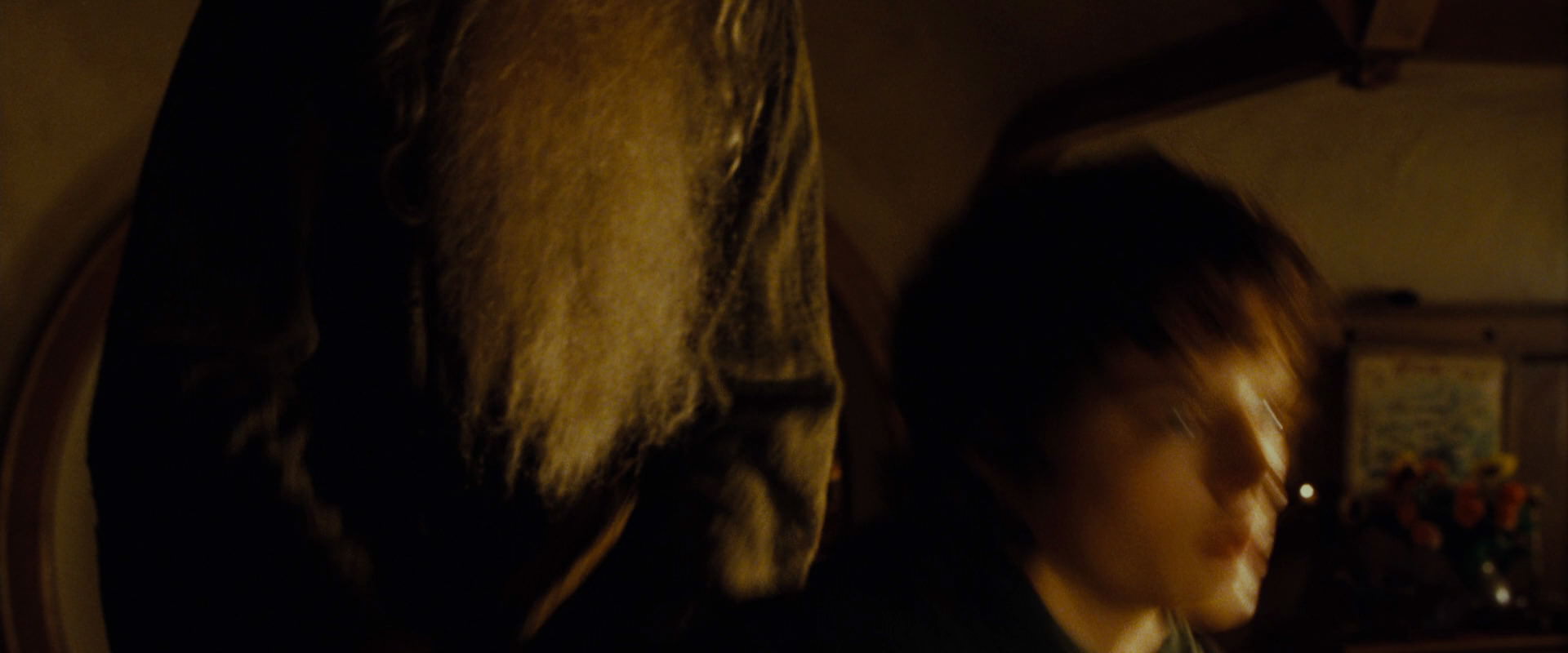 The Lord of the Rings: The Fellowship of the Ring (2001) HD screenshot 4775