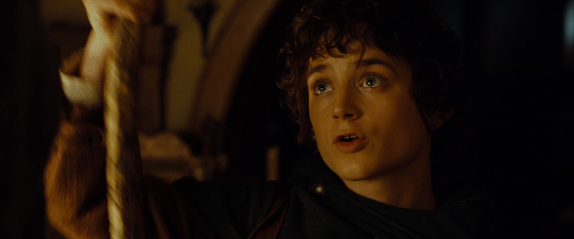 The Lord of the Rings: The Fellowship of the Ring (2001) screencap 4785