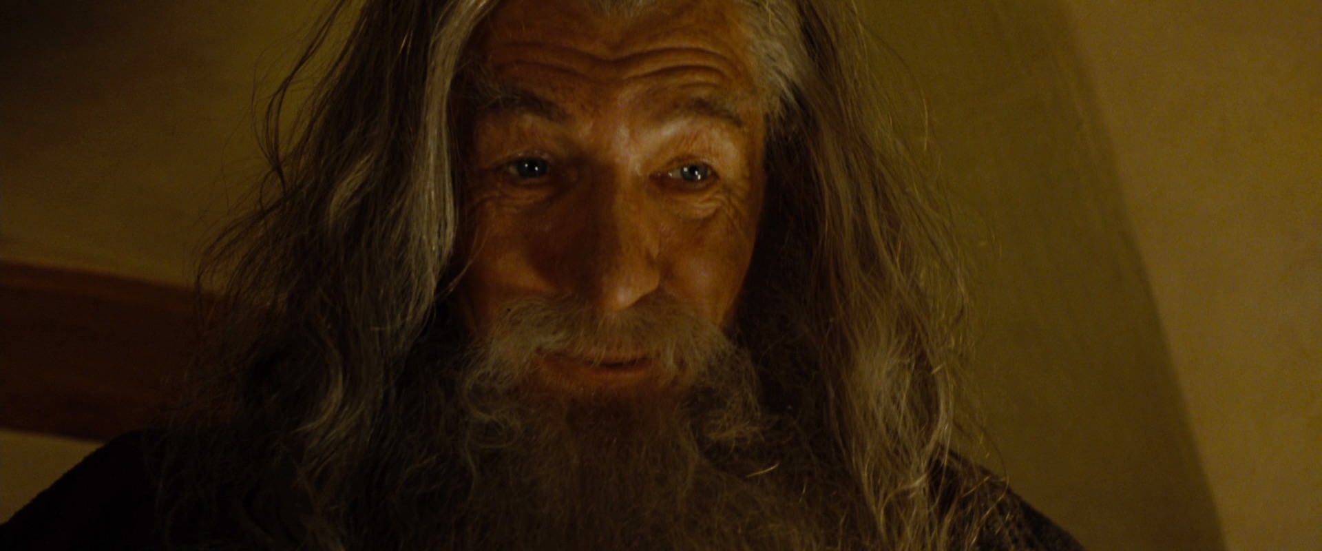 The Lord of the Rings: The Fellowship of the Ring (2001) screencap 4797