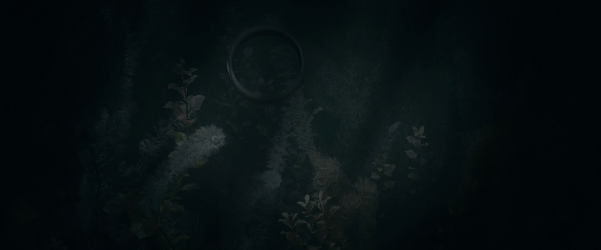 The Lord of the Rings: The Fellowship of the Ring (2001) screencap 480