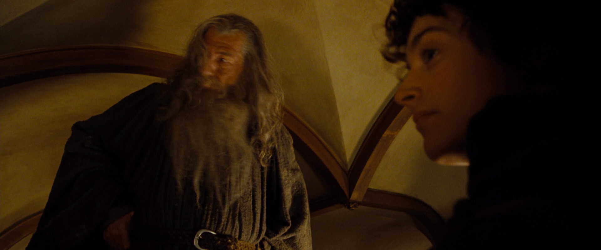 The Lord of the Rings: The Fellowship of the Ring (2001) screencap 4821