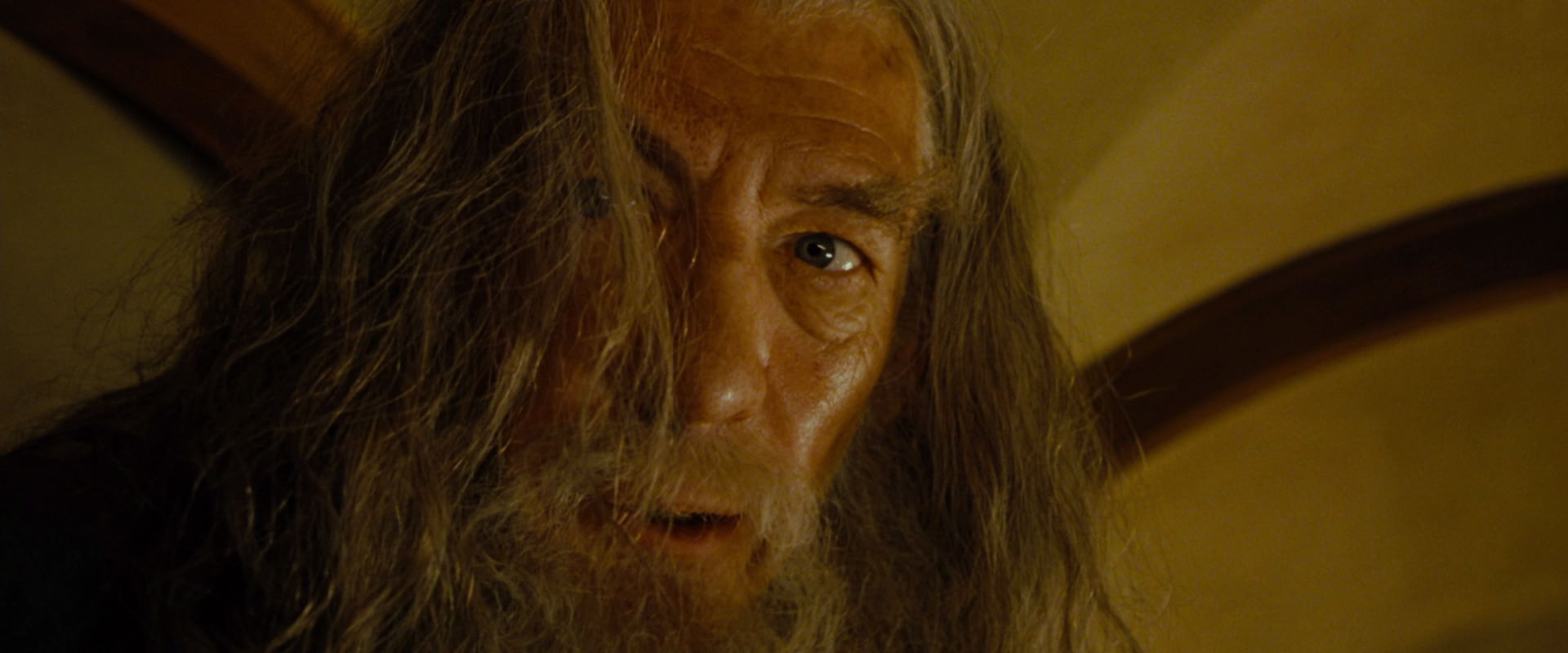 The Lord of the Rings: The Fellowship of the Ring (2001) screencap 4824