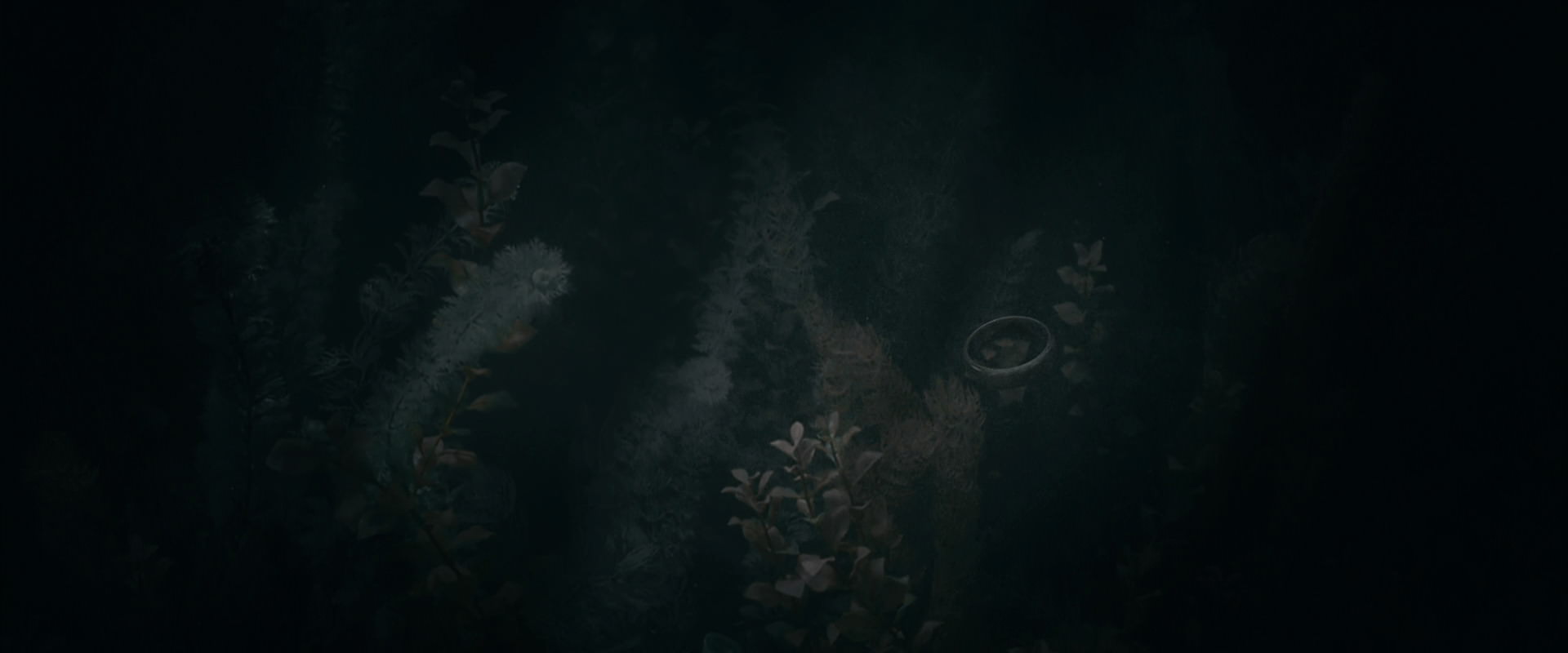 The Lord of the Rings: The Fellowship of the Ring (2001) screencap 483