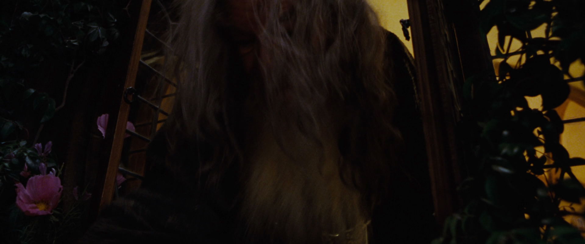The Lord of the Rings: The Fellowship of the Ring (2001) screencap 4848