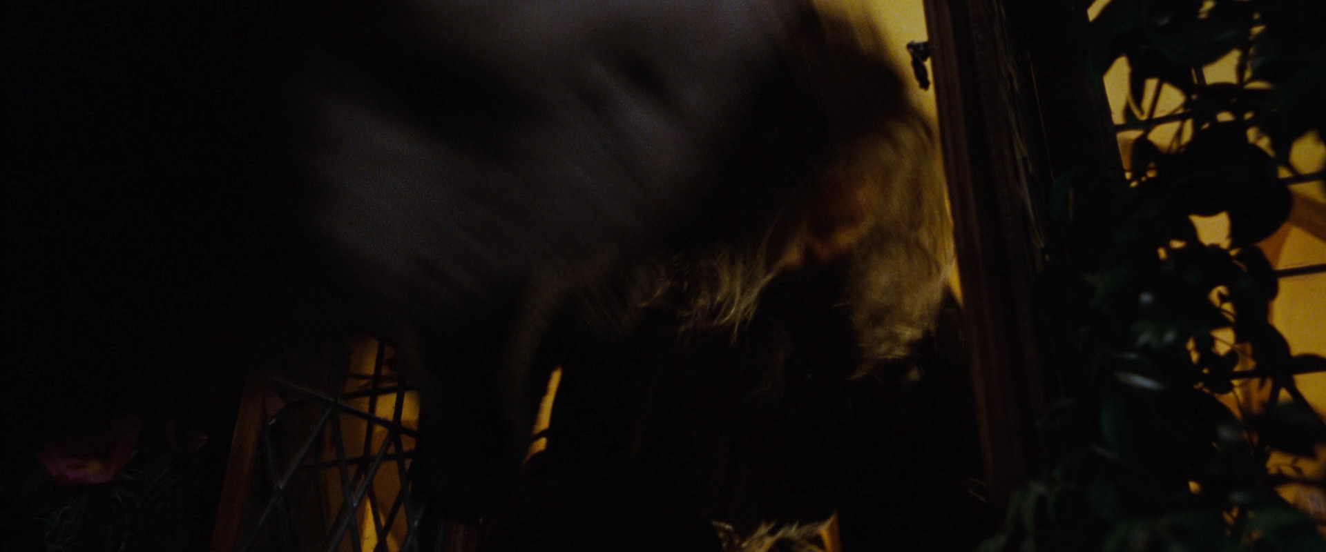 The Lord of the Rings: The Fellowship of the Ring (2001) movie still 4849