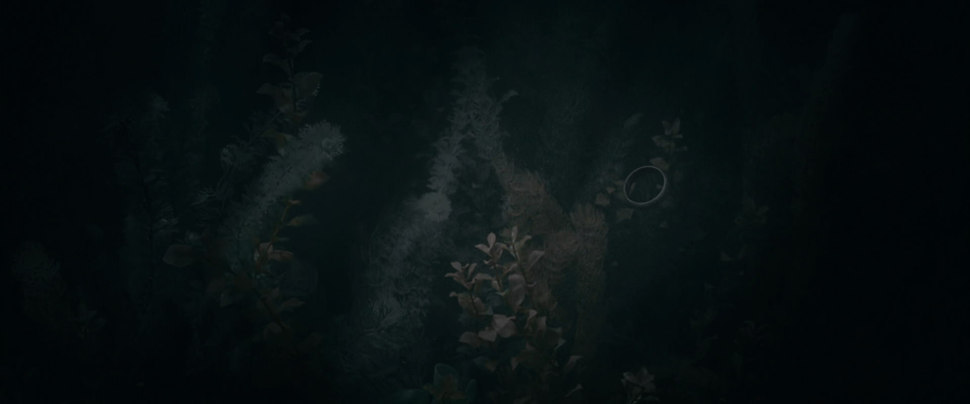 The Lord of the Rings: The Fellowship of the Ring (2001) HD screenshot 485