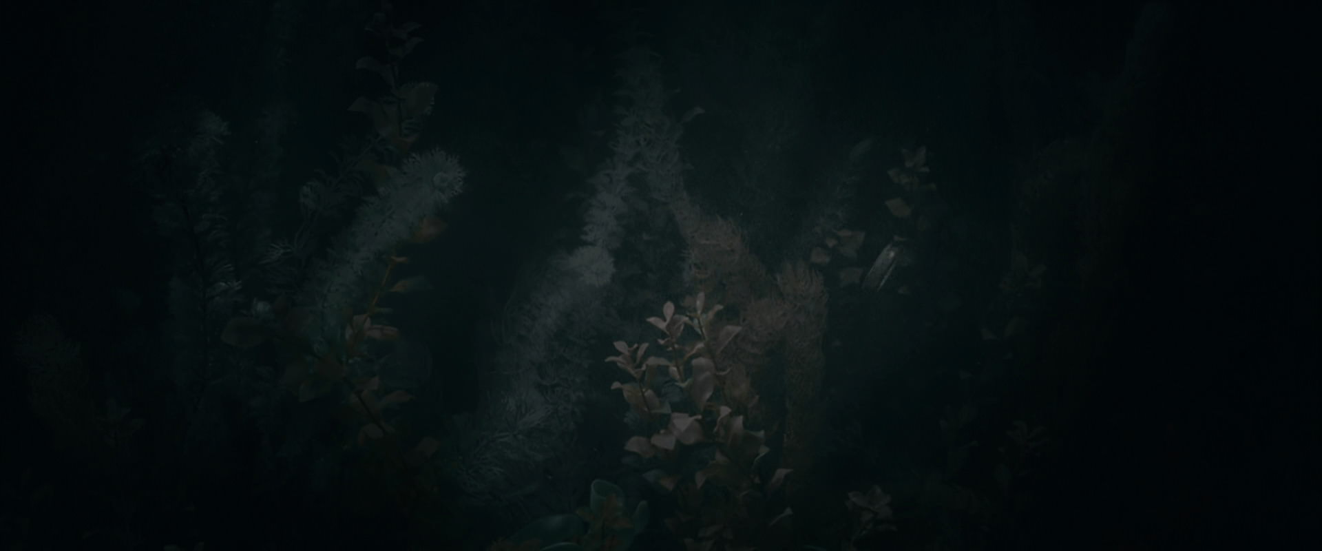 The Lord of the Rings: The Fellowship of the Ring (2001) screencap 486