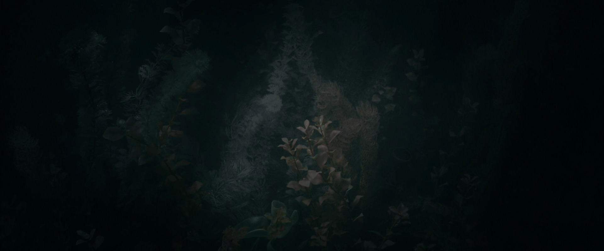 The Lord of the Rings: The Fellowship of the Ring (2001) screencap 489