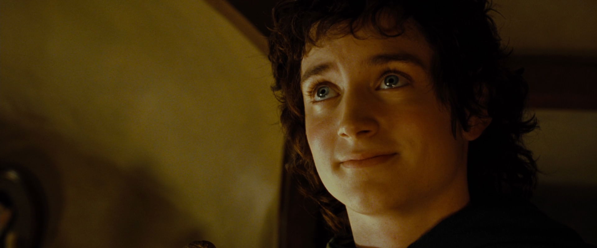 The Lord of the Rings: The Fellowship of the Ring (2001) screencap 4908