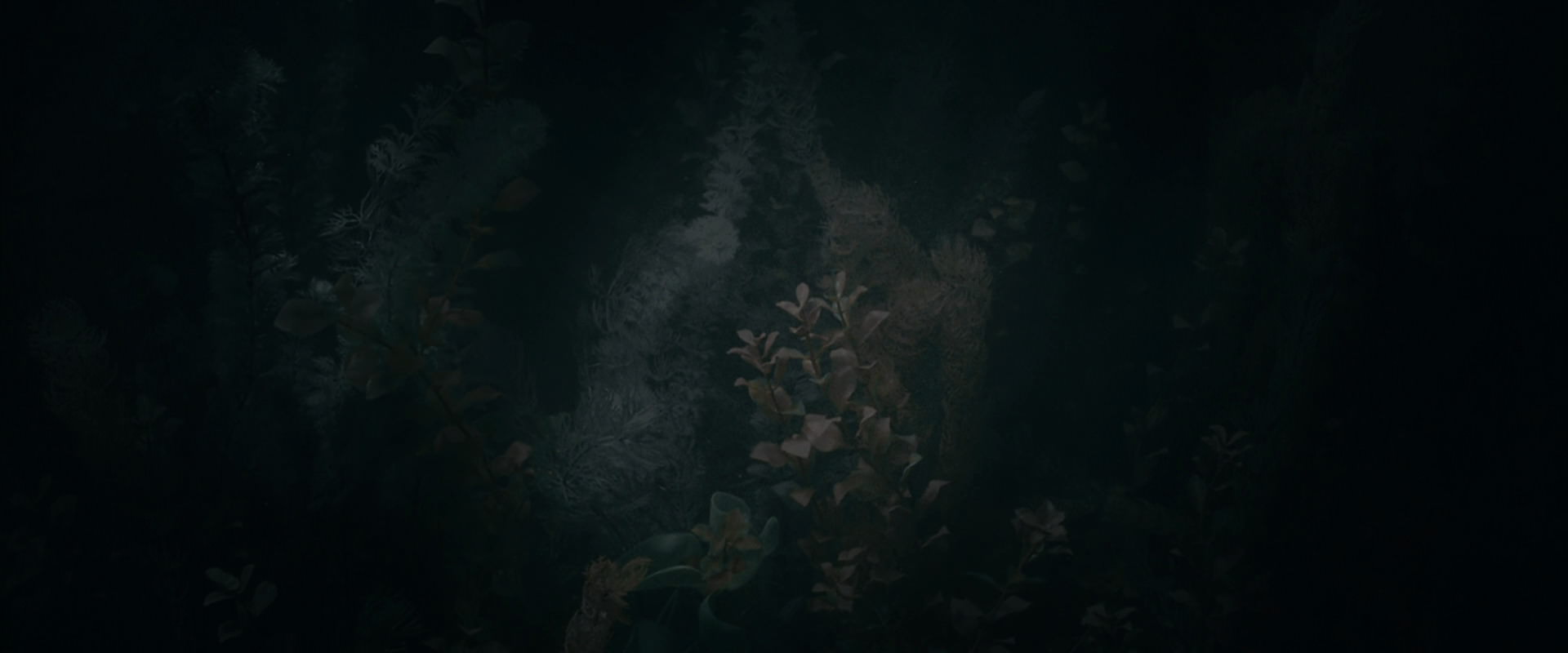 The Lord of the Rings: The Fellowship of the Ring (2001) HD screenshot 491