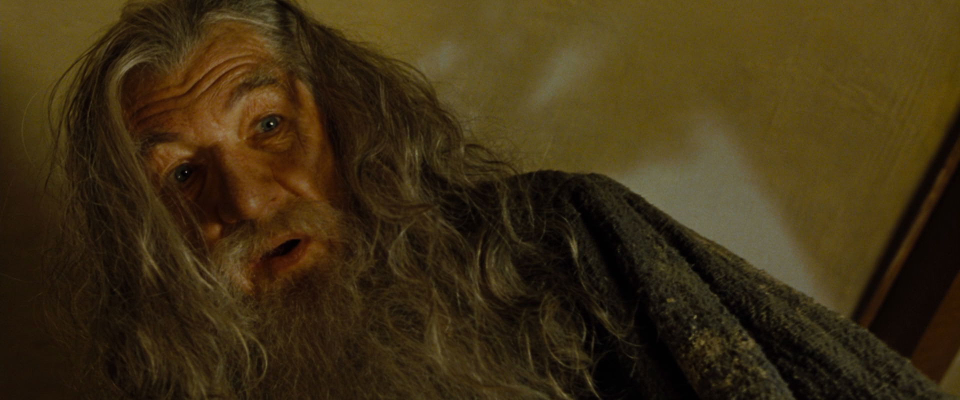 The Lord of the Rings: The Fellowship of the Ring (2001) screencap 4911