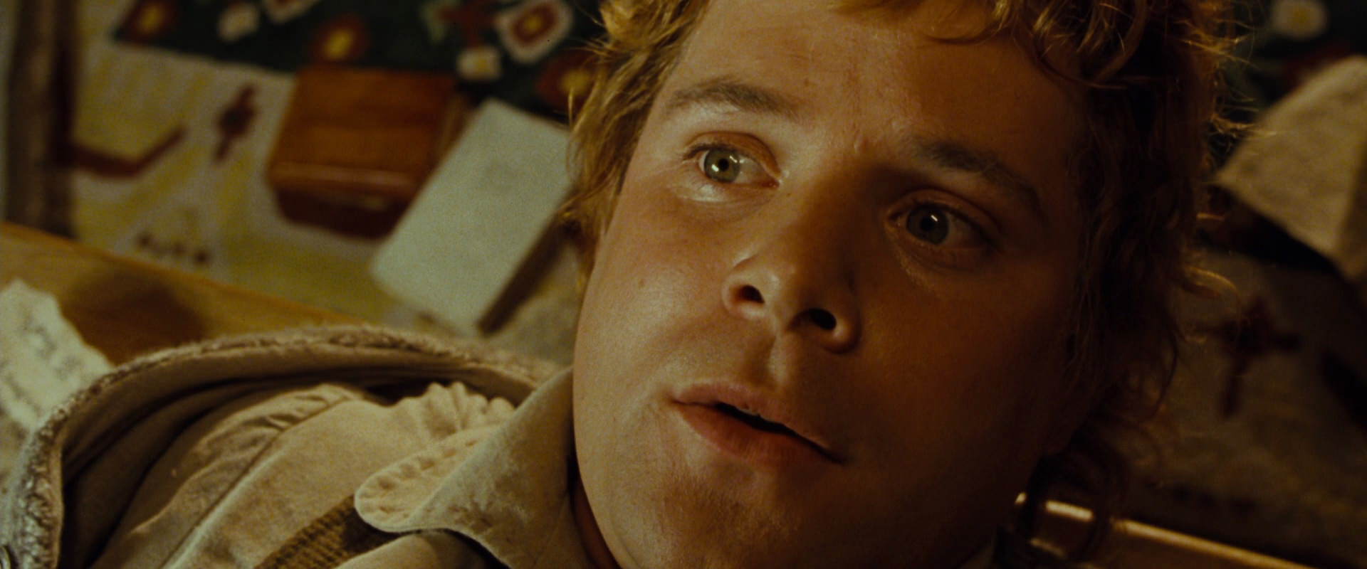 The Lord of the Rings: The Fellowship of the Ring (2001) screencap 4917